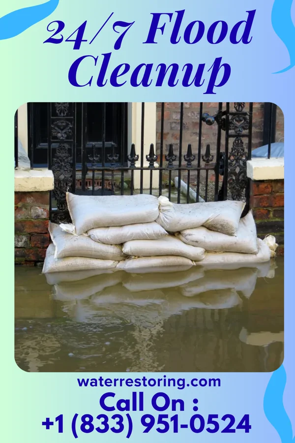 24/7 Flood Cleanup in Joppa, IL