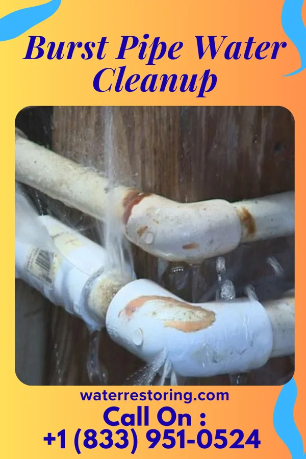 Burst Pipe Water Cleanup in Joppa, IL