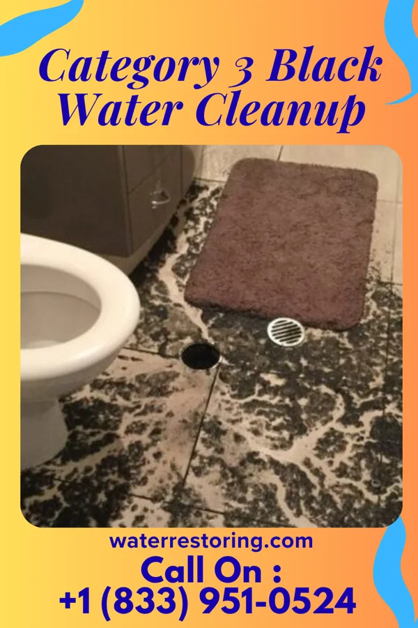 Category 3 Black Water Cleanup in Joppa, IL