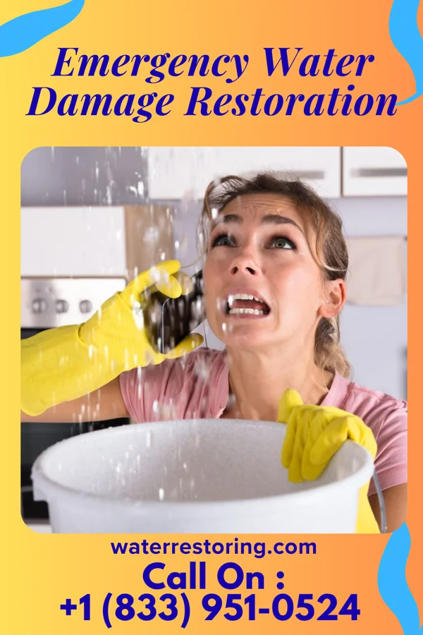 Emergency Water Damage Restoration in Joppa, IL