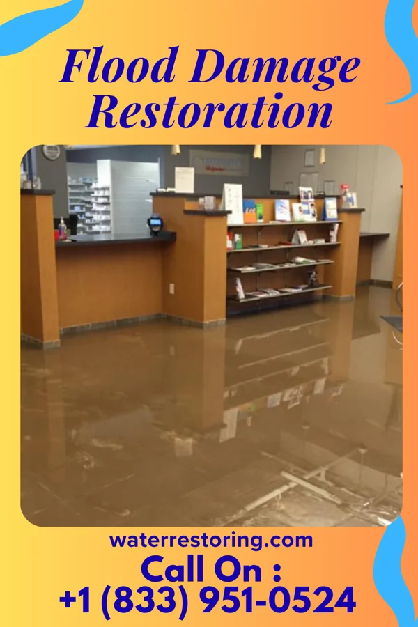 Flood Damage Restoration in Joppa, IL