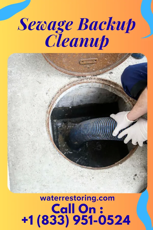 Sewage Backup Cleanup in Joppa, IL