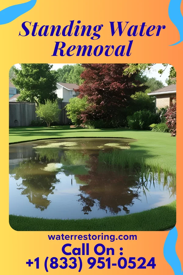 Standing Water Removal in Joppa, IL